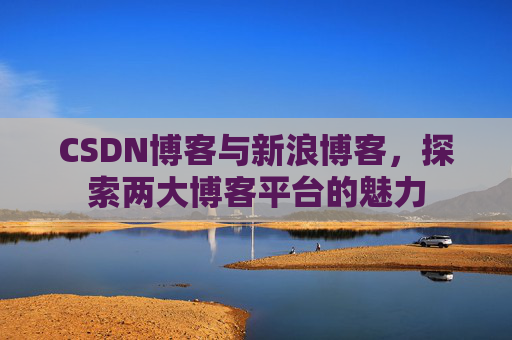 CSDN博客与新浪博客，探索两大博客平台的魅力